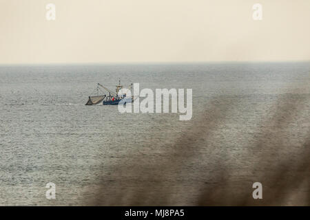 Fischerboot, Krabben Cutter, weg von der Nordsee Küste in der Nähe von Wijk aan Zee, Nordholland, Niederlande, Stockfoto