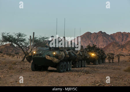 JORDAN (19. April 2018) US-Marines auf der Light Armored Reconnaissance Platoon, Bataillon Landung Team, 2.BATAILLON, 6 Marine Regiment, 26 Marine Expeditionary Unit, transport Marines zugewiesen zu Fox Company, BLT 2/6, 26 MEU, zu einer Ausbildung Bereich während eifrig Lion 2018, Jordan. Eifrig Lion ist ein schlußstein Ausbildung Engagement, die US-Streitkräfte und der Jordan Streitkräfte eine Gelegenheit, die in einer Koalition Umwelt zu proben und neue Wege, um gemeinsam Gefahren für die regionale Sicherheit und die Sicherheit im Seeverkehr verbessern. (U.S. Marine Corps Foto b Stockfoto