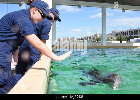 Coast Guard Seaman Montianna R. Thompson, eine Station Sand Key crewmember, Wellen zu Nicholas, ein Bewohner Dolphin bei Clearwater Marine Aquarium, Clearwater, Florida, Dienstag, 24. April 2018. Thompson und anderen Station Sand Key Crewmitglieder nahmen an Marine Wildlife Rescue Training am Aquarium und hat Best Practices bei Kranken oder Verletzten Meerestiere wie Delphine, Seekühe und Meeresschildkröten. (U.S. Coast Guard Foto von Petty Officer 2. Klasse Ashley J. Johnson) Stockfoto