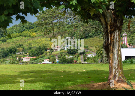 Vale dos Vinhedos, Rio Grande do Sul, Brasilien, Lateinamerika Stockfoto