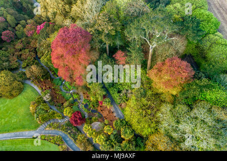 Trebah Garten aus der Luft; Cornwall, UK Stockfoto