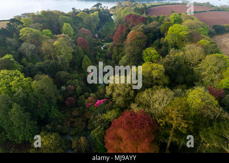 Trebah Garten aus der Luft; Cornwall, UK Stockfoto