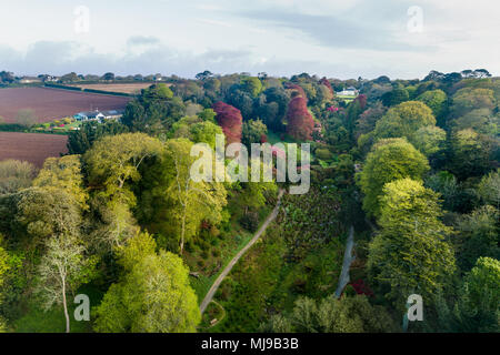 Trebah Garden Cornwall aus der Luft; Cornwall, UK Stockfoto