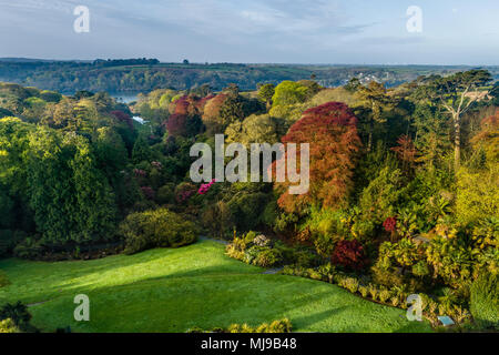 Trebah Garten aus der Luft; Cornwall, UK Stockfoto