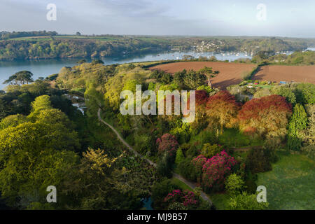 Trebah Garten aus der Luft; Cornwall, UK Stockfoto