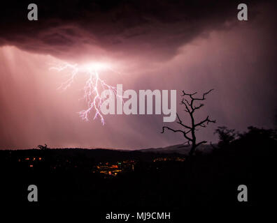 Häufige Beleuchtung kommt mit Monsun Gewitter in Arizona, USA. Stockfoto