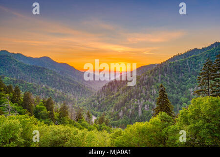 Great Smoky Mountains National Park, Tennessee, USA Sonnenuntergang Landschaft über Newfound Gap. Stockfoto