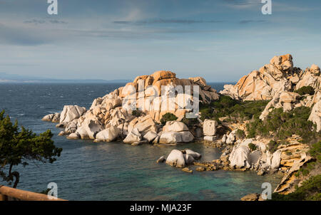 Felsen und Meer in palua auf Sardinien Insel Stockfoto