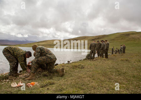 Nach einer Demonstration von British Commando, Marines mit 4 Air Naval Geschützfeuer Liaison Unternehmen, Force Headquarters Group, zupfen und ein Huhn während Überlebenstraining, in Durness, Schottland, 26. April 2018 Kleid. 4 ANGLICO ist in Schottland an gemeinsamen Krieger 18-1, eine Übung, die die Bereitschaft und die Effektivität der kombinierten Waffen Integration fördert, kleine Einheit Taktik und Land Navigation zu nehmen. Diese Fortbildung soll zur Verbesserung ihrer Fähigkeiten und Kampfkraft und stellt sicher, dass Sie bereit sind, heute abend zu kämpfen. Stockfoto