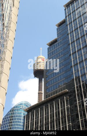 Sydney Tower Auge, CBD, Sydney, Australien Stockfoto
