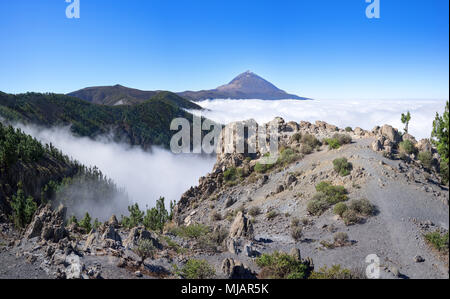 Landschaft im Nationalpark auf Teneriffa Teide Stockfoto