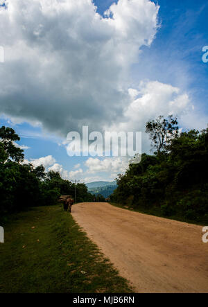 Ein Blick auf die Stadt, Shakiso Oromia, Äthiopien Stockfoto