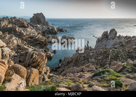 Capo Testa Teresa di Gallura, mit Felsen und blauem Meer auf der italienischen Insel Sardinien Stockfoto