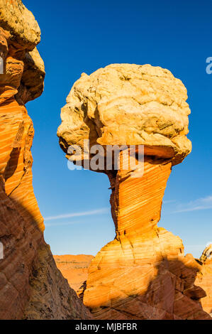 Bunte Sandstein Eis formation Cottonwood Zugang South Coyote Buttes Vermilion Cliffs National Monument Arizona in den Vereinigten Staaten. Stockfoto