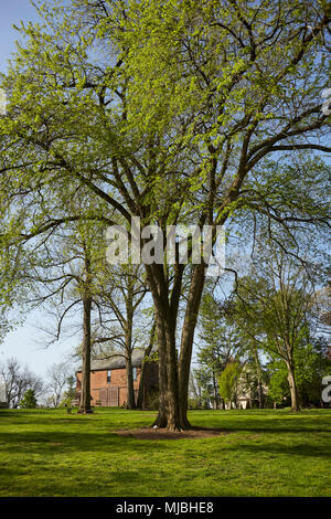 Aus Gründen der Wheatland, die Heimat von James Buchanan, der 15. Präsident der Vereinigten Staaten. Wheatland ist Teil der Lancaster Campus der Histo Stockfoto