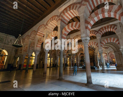 Säulenhalle mit Bögen im maurischen Stil, Gebet Halle der ehemaligen Moschee, Mezquita-Catedral de Cordoba oder die Kathedrale der Konzeption unserer Stockfoto