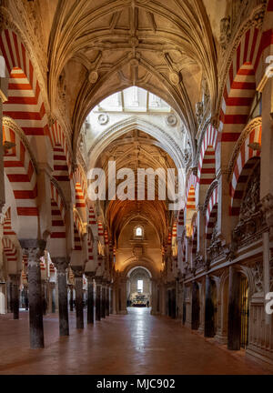 Säulenhalle mit Bögen im maurischen Stil, Gebet Halle der ehemaligen Moschee, Mezquita-Catedral de Cordoba oder die Kathedrale der Konzeption unserer Stockfoto