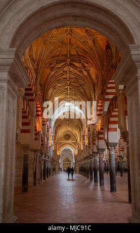 Säulenhalle mit Bögen im maurischen Stil, Gebet Halle der ehemaligen Moschee, Mezquita-Catedral de Cordoba oder die Kathedrale der Konzeption unserer Stockfoto