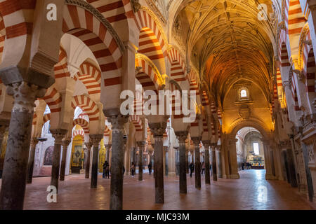 Säulenhalle mit Bögen im maurischen Stil, Gebet Halle der ehemaligen Moschee, Mezquita-Catedral de Cordoba oder die Kathedrale der Konzeption unserer Stockfoto