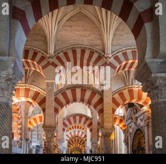 Säulenhalle mit Bögen im maurischen Stil, Gebet Halle der ehemaligen Moschee, Mezquita-Catedral de Cordoba oder die Kathedrale der Konzeption unserer Stockfoto