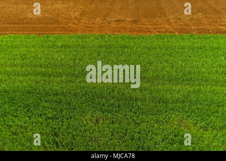 Luftaufnahme über den landwirtschaftlichen Feldern Stockfoto