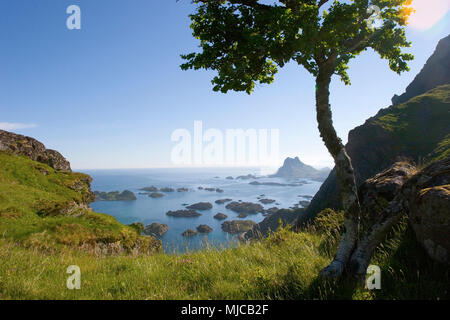 Meer und Landschaft auf den Lofoten-Inseln, Nordnorwegen Stockfoto