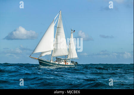 Segelboot in schwerem Seegang auf den Atlantischen Ozean in der Nähe von Portugal Stockfoto