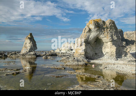 Korallendenkmäler genannt Raukar an der ostseeküste von Gotland, Schweden Stockfoto