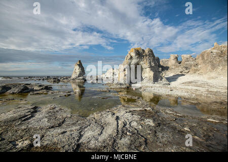 Korallendenkmäler genannt Raukar an der ostseeküste von Gotland, Schweden Stockfoto