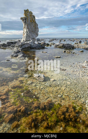 Korallendenkmäler genannt Raukar an der ostseeküste von Gotland, Schweden Stockfoto