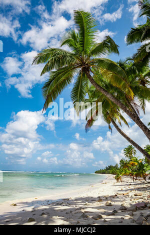 Weißen Sandes Strand mit Palmen und Grün und Blau Wasser auf Cocos keeling Atoll, Australien, Indischen Ozean Stockfoto