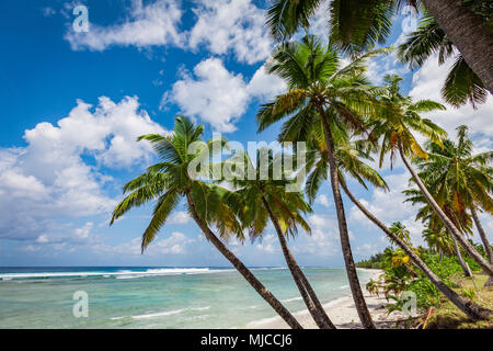 Weißen Sandes Strand mit Palmen und Grün und Blau Wasser auf Cocos keeling Atoll, Australien, Indischen Ozean Stockfoto