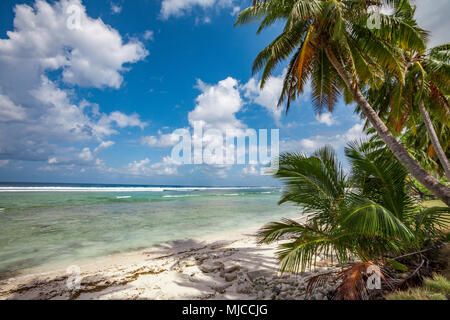 Weißen Sandes Strand mit Palmen und Grün und Blau Wasser auf Cocos keeling Atoll, Australien, Indischen Ozean Stockfoto