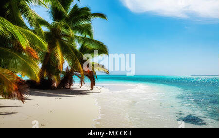 Weißen Sandes Strand mit Palmen und Grün und Blau Wasser auf Cocos keeling Atoll, Australien, Indischen Ozean Stockfoto