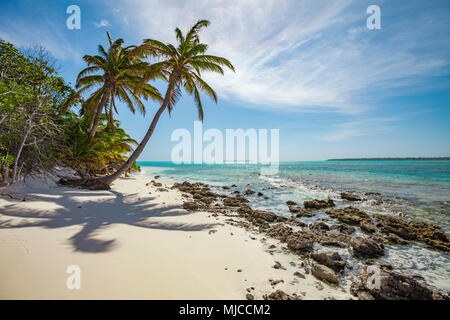 Weißen Sandes Strand mit Palmen und Grün und Blau Wasser auf Cocos keeling Atoll, Australien, Indischen Ozean Stockfoto