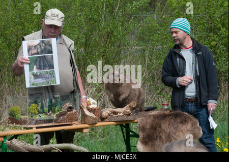 ANSBACH, Deutschland - Kinder Zeit an der "Biber-Station" als Teil einer Masse Tag pädagogische Veranstaltung in Urlas Soldaten See, 24. April 2018. (U.S. Armee Foto von Georgios Moumoulidis). Stockfoto