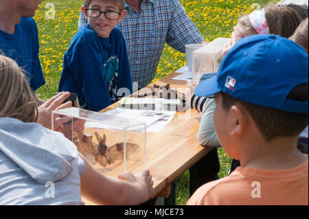 ANSBACH, Deutschland - Kinder Zeit an der 'Bat' als Teil einer Masse Tag pädagogische Veranstaltung in Urlas Soldaten am 24. April 2018. (U.S. Armee Foto von Georgios Moumoulidis). Stockfoto