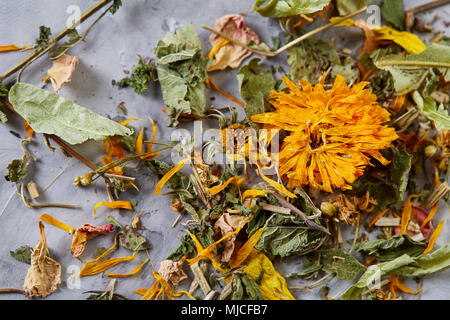 Motley Gras auf Licht strukturierten Hintergrund, Nahaufnahme, geringe Tiefenschärfe, selektiver Fokus, Makro. Alternative Medizin. Wellness natürliches Konzept. Dayspa Stockfoto