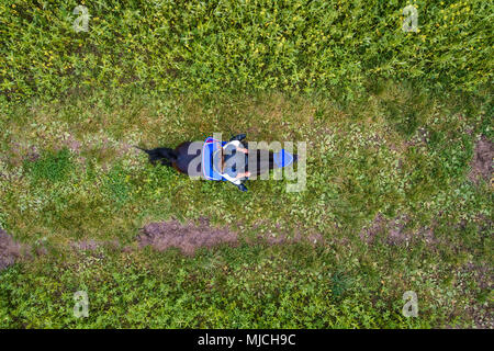 Junge Frau reitet auf einem Feldweg, Luftaufnahmen Stockfoto