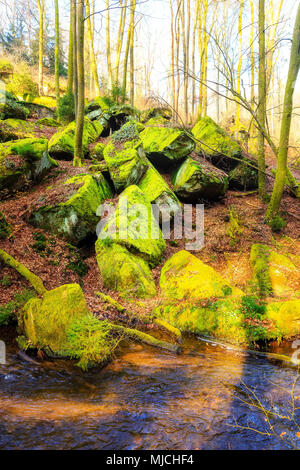 Große Steine auf dem Boden im Karlstal Tal in der Nähe von Trippstadt Stockfoto