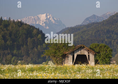 Anzeigen von Eschenlohe zu verschneiten Zugspitze im Frühjahr, Oberbayern, Bayern, Süddeutschland, Deutschland, Stockfoto