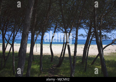 Italien, Sardinien, Ostküste, Bari Sardo Ogliastra Torre di Bari, Marina di Bari, Stockfoto