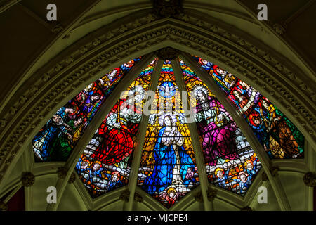 Fenster der Kirche Saint Mary's Basilica, Halifax, Kanada Stockfoto