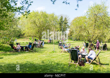 Die Menschen essen und trinken Kaffee draußen, während das warme Wetter im Frühling in einem wunderschönen Obstgarten genießen Im Orchard Tea Garden ein beliebter Veranstaltungsort i Stockfoto