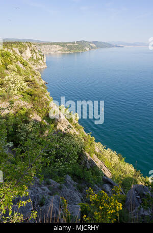 Nördliche Adria Küste zwischen Duino und Sistiana, in der Nähe von Triest, Italien, im Frühling Stockfoto