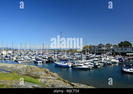 Oak Bay Marina gefüllt mit Booten in Victoria, BC, Kanada. Stockfoto