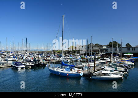 Oak Bay Marina gefüllt mit Booten in Victoria, BC, Kanada. Stockfoto