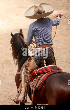 Mexikanischen charro ein Trick zu Pferd mit dem Lasso Stockfoto