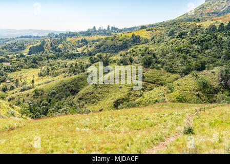 Der Blick zurück an den Anfang vom trail Nandis Wasserfall in der Nähe von Monks Cowl in der Kwazulu-Natal Drakensberg Stockfoto