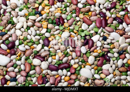 Immer noch leben der sortierten trockene Bohnen: Nord, Pinto, grüne Erbsen, Niere, Cranberry Bean, Kleine Weiße, kleine rote, gelbe Erbsen, Linsen, Marine, Wh Stockfoto